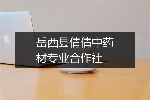 岳西县倩倩中药材专业合作社