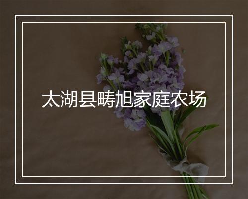 太湖县畴旭家庭农场