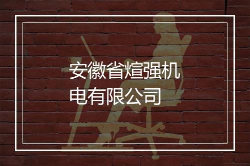 安徽省煊强机电有限公司
