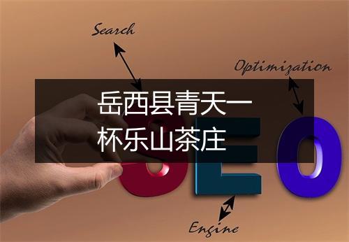 岳西县青天一杯乐山茶庄