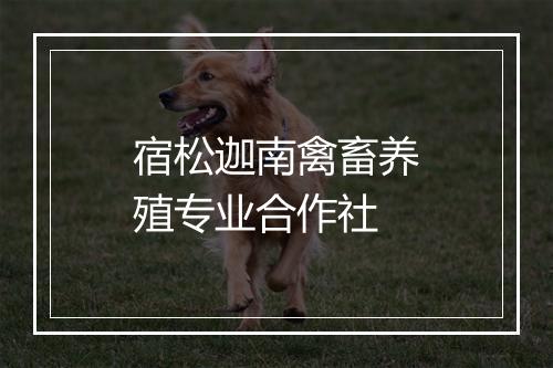 宿松迦南禽畜养殖专业合作社