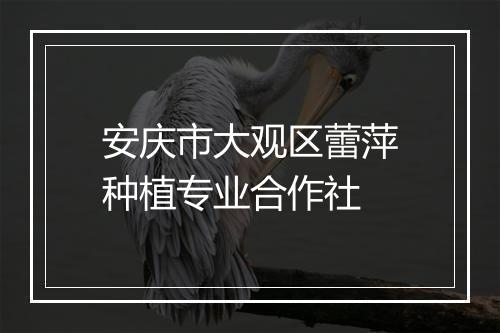 安庆市大观区蕾萍种植专业合作社