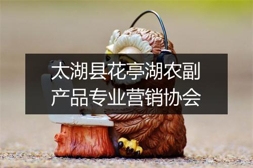 太湖县花亭湖农副产品专业营销协会