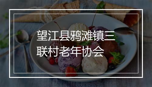 望江县鸦滩镇三联村老年协会