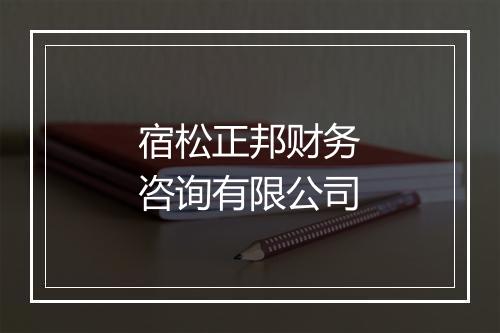 宿松正邦财务咨询有限公司