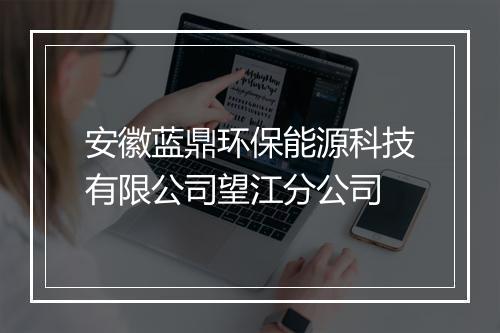 安徽蓝鼎环保能源科技有限公司望江分公司