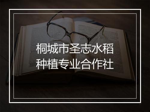 桐城市圣志水稻种植专业合作社
