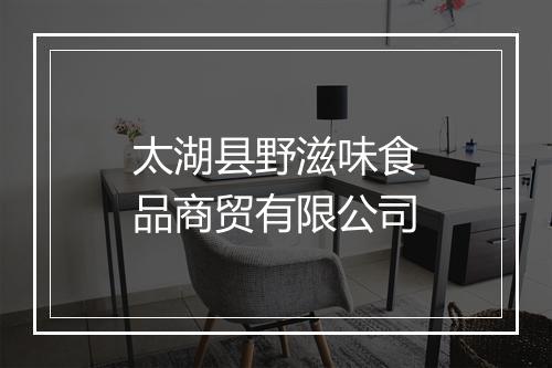 太湖县野滋味食品商贸有限公司