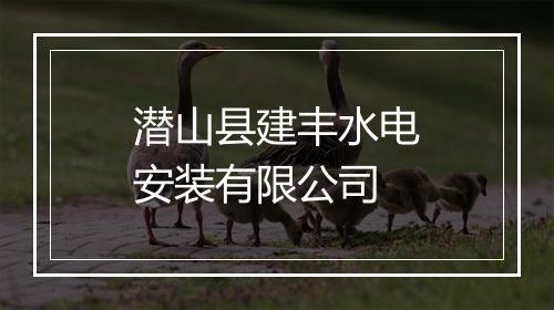 潜山县建丰水电安装有限公司