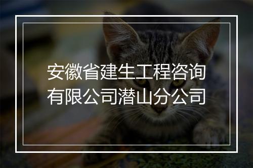 安徽省建生工程咨询有限公司潜山分公司