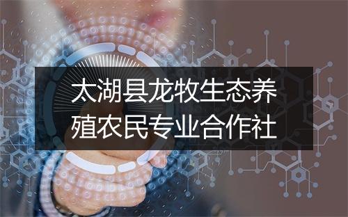 太湖县龙牧生态养殖农民专业合作社