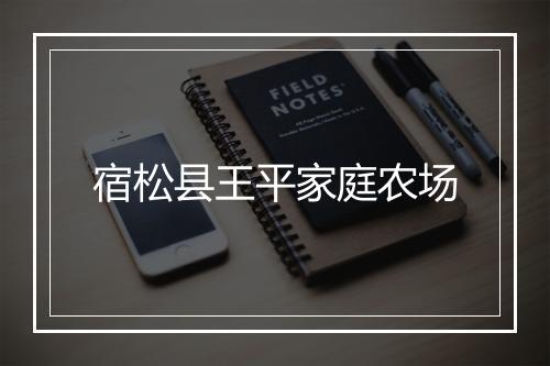 宿松县王平家庭农场