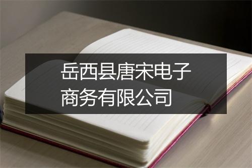 岳西县唐宋电子商务有限公司