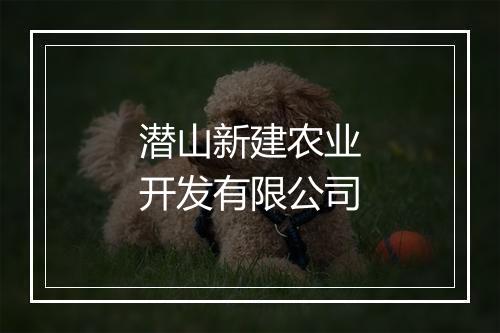 潜山新建农业开发有限公司