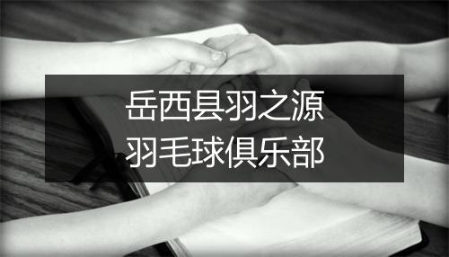 岳西县羽之源羽毛球俱乐部