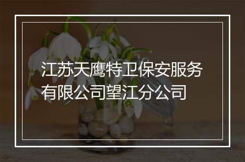 江苏天鹰特卫保安服务有限公司望江分公司