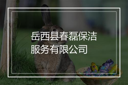 岳西县春磊保洁服务有限公司