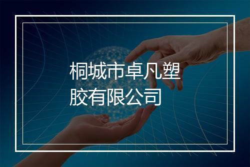 桐城市卓凡塑胶有限公司