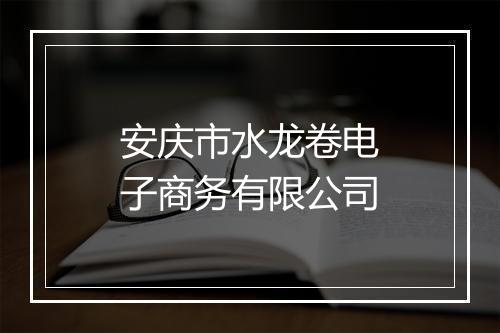 安庆市水龙卷电子商务有限公司