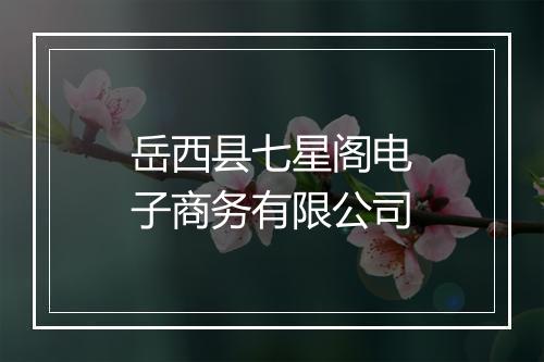 岳西县七星阁电子商务有限公司