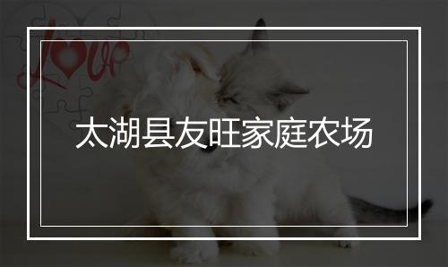太湖县友旺家庭农场