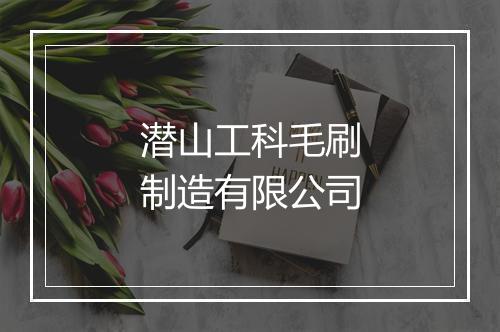 潜山工科毛刷制造有限公司