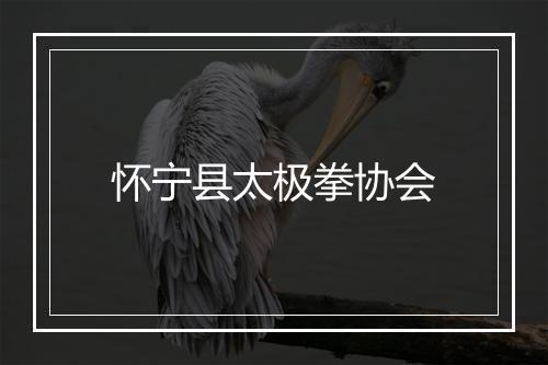 怀宁县太极拳协会