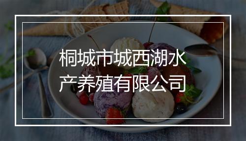 桐城市城西湖水产养殖有限公司