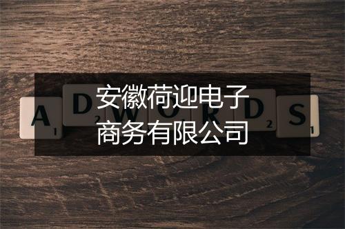 安徽荷迎电子商务有限公司