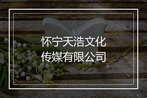 怀宁天浩文化传媒有限公司