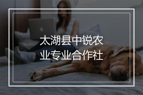 太湖县中锐农业专业合作社