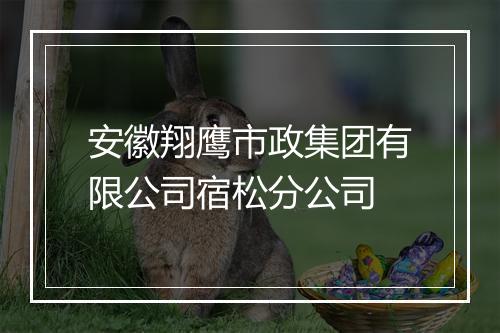 安徽翔鹰市政集团有限公司宿松分公司
