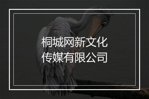 桐城网新文化传媒有限公司