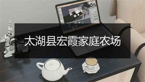 太湖县宏霞家庭农场
