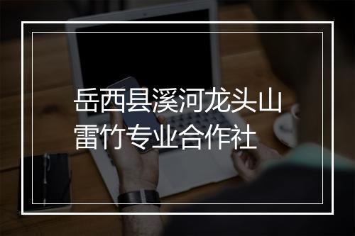 岳西县溪河龙头山雷竹专业合作社