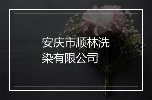 安庆市顺林洗染有限公司