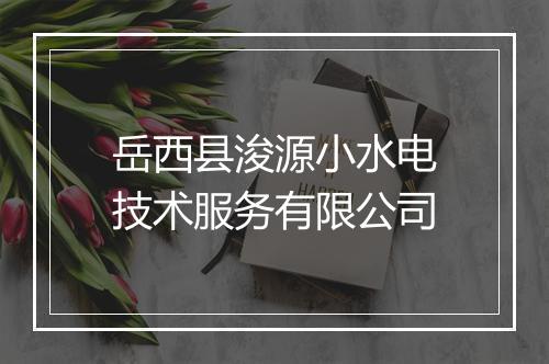 岳西县浚源小水电技术服务有限公司