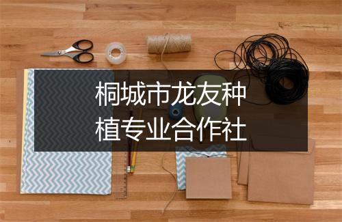 桐城市龙友种植专业合作社