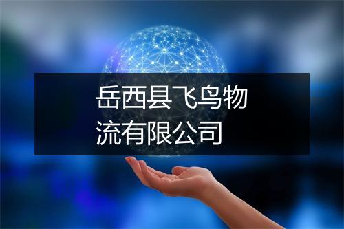 岳西县飞鸟物流有限公司