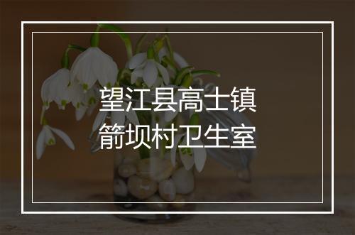 望江县高士镇箭坝村卫生室