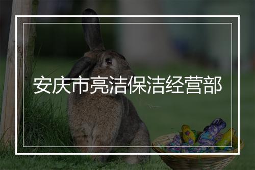 安庆市亮洁保洁经营部