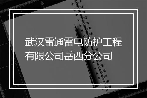 武汉雷通雷电防护工程有限公司岳西分公司