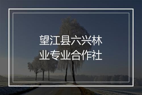 望江县六兴林业专业合作社