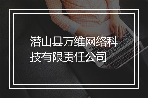 潜山县万维网络科技有限责任公司