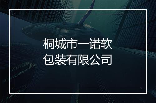 桐城市一诺软包装有限公司
