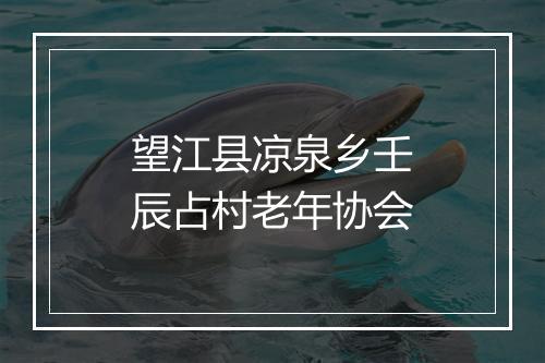 望江县凉泉乡壬辰占村老年协会