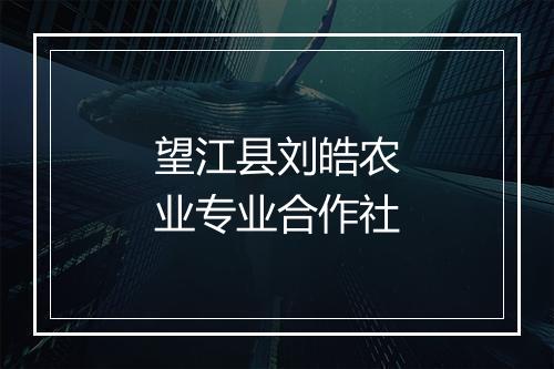 望江县刘皓农业专业合作社