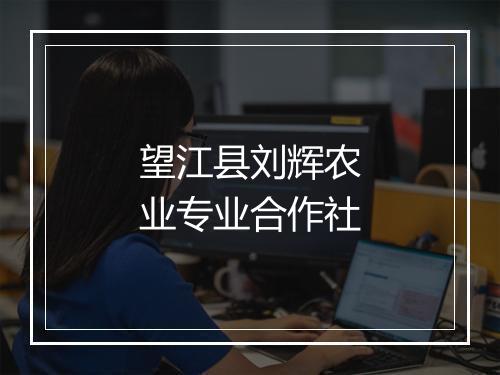 望江县刘辉农业专业合作社