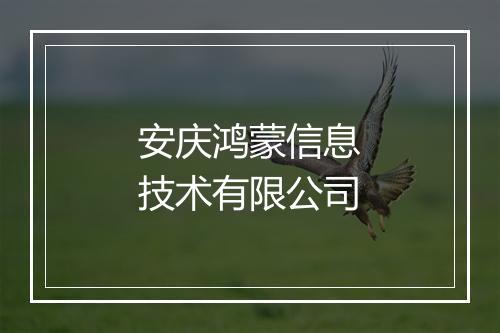 安庆鸿蒙信息技术有限公司