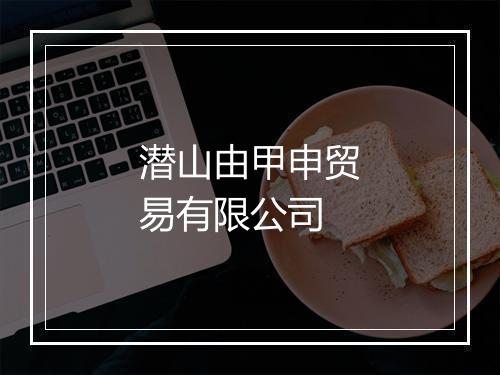 潜山由甲申贸易有限公司